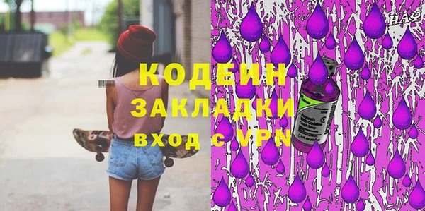 твердый Инсар
