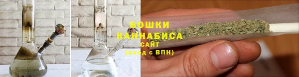 твердый Инсар