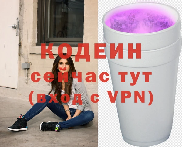 СК Иннополис