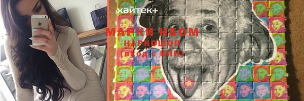 твердый Инсар