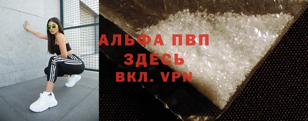 твердый Инсар