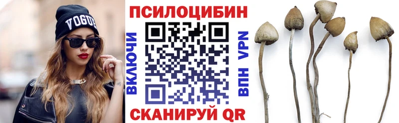 Псилоцибиновые грибы Cubensis Купить закладки Курильск