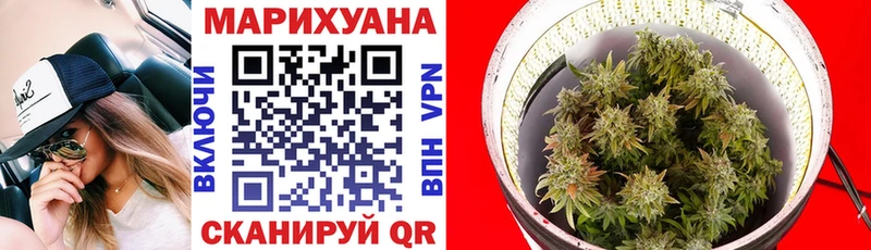 Купить где Курильск Канабис тримм